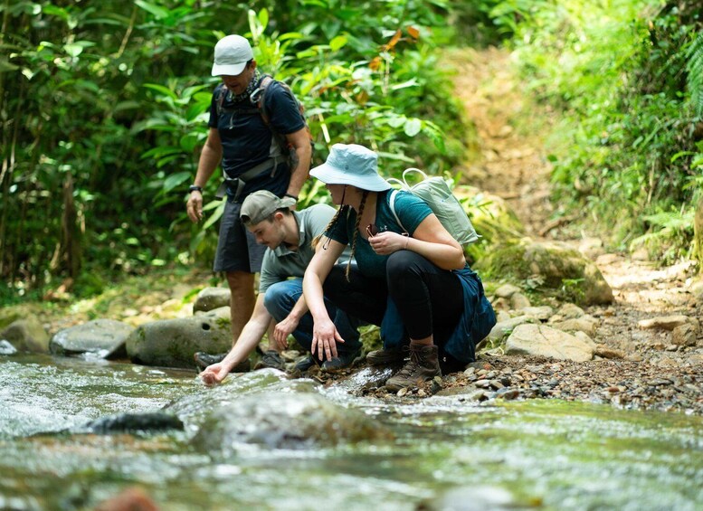 Picture 1 for Activity Cali: Hiking to the Pance waterfalls