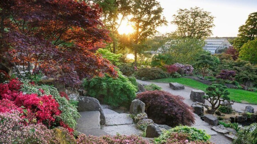 The Rock Garden, RHS Garden Wisley