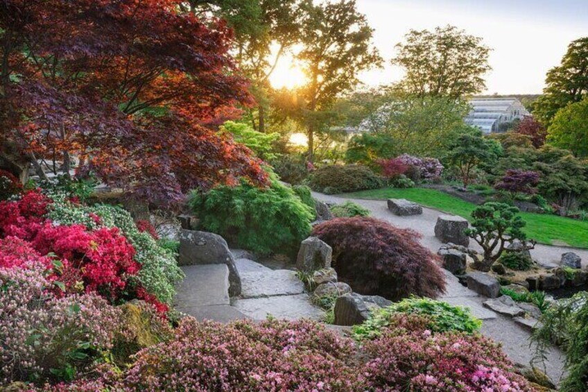 The Rock Garden, RHS Garden Wisley