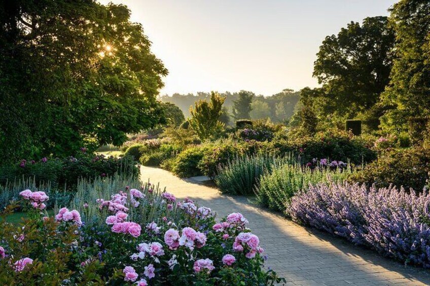 The Bowes-Lyon Rose Garden, RHS Garden Wisley