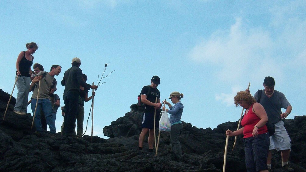 Picture 2 for Activity From Antigua: Pacaya Volcano Trek