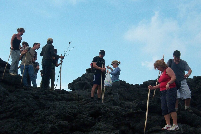 Picture 2 for Activity From Antigua: Pacaya Volcano Trek