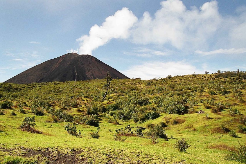 Picture 3 for Activity From Antigua: Pacaya Volcano Trek