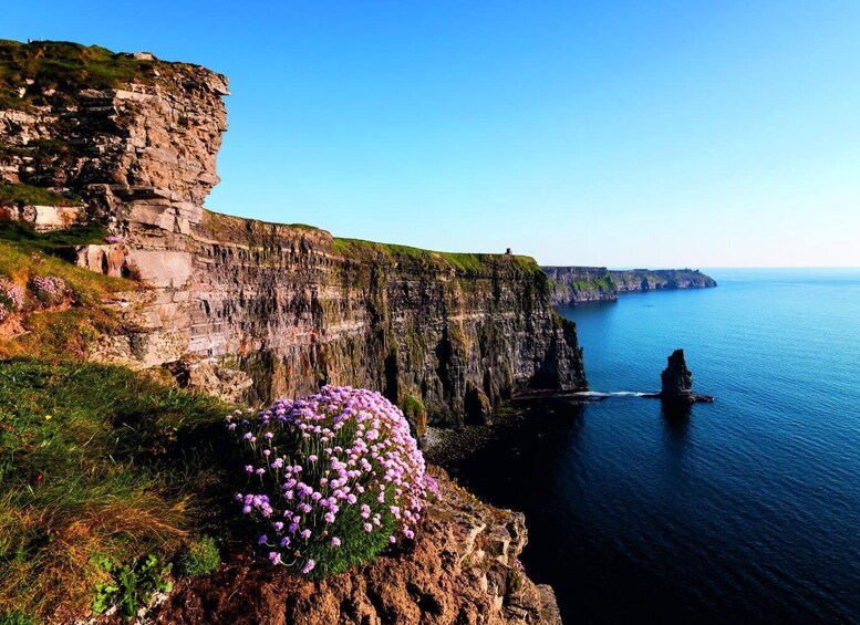 Picture 4 for Activity From Dublin: Cliffs of Moher Small Group Tour