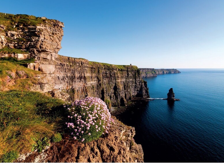 Picture 4 for Activity From Dublin: Cliffs of Moher Small Group Tour