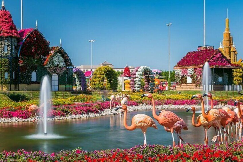 Miracle Garden and Global Village Tour With Private Transfers