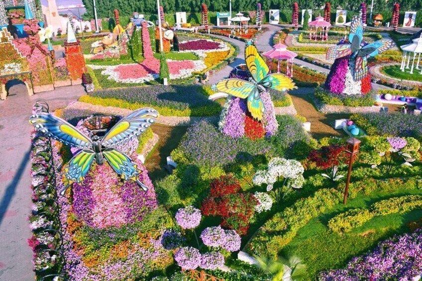 Miracle Garden and Global Village Tour With Private Transfers