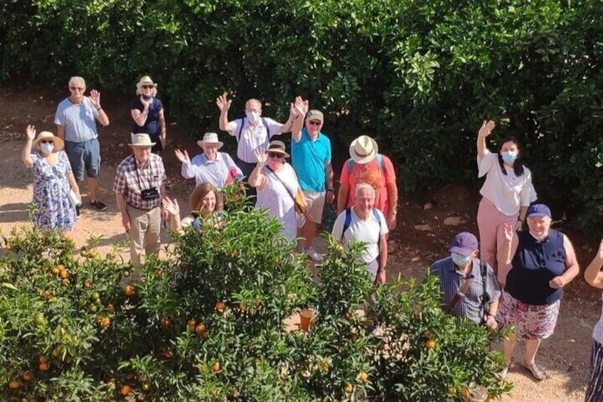 Orange Harvest Experience Exploring a Genuine Citrus Farm