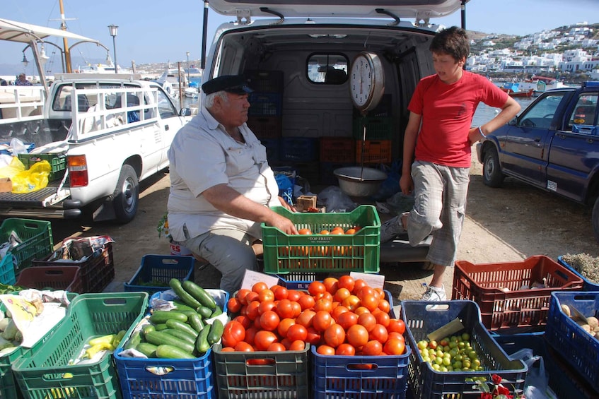 Picture 15 for Activity Mykonos: Half-Day City Walking Tour and Island Bus Tour