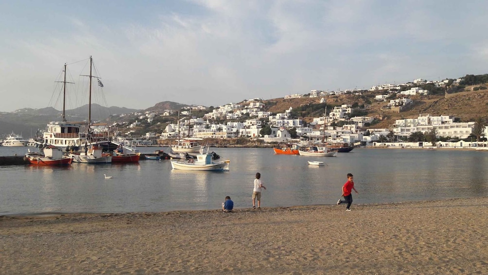 Picture 10 for Activity Mykonos: Half-Day City Walking Tour and Island Bus Tour