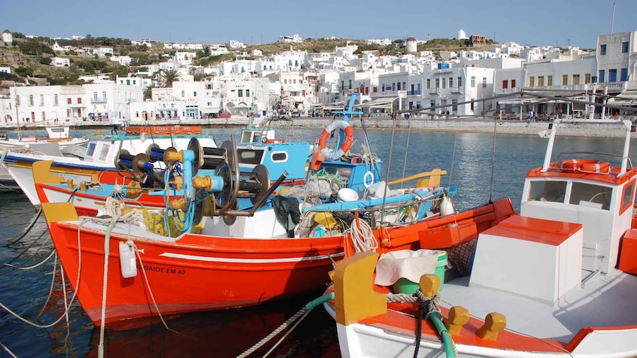 Mykonos: Half-Day City Walking Tour and Island Bus Tour
