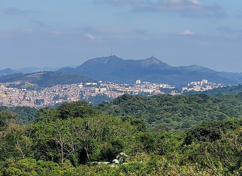 Picture 11 for Activity São Paulo: Cantareira Natural Park Guided Rainforest Hike