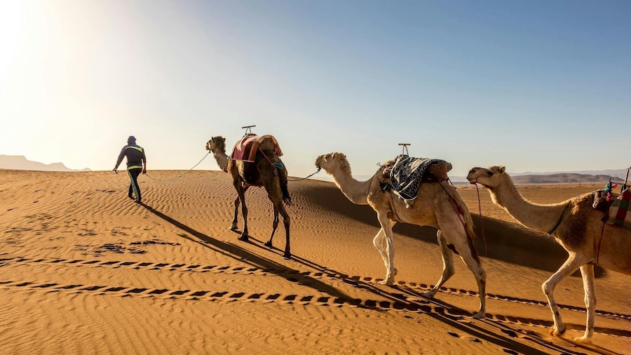 Sea, Sunset & Desert Camp Experience