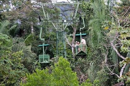 Panama City: Gamboa Rainforest Resort Aerial Tram Tour