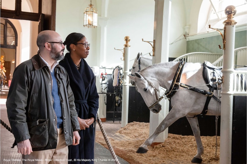 Buckingham Palace or Royal Mews Entry with London Walking Tour