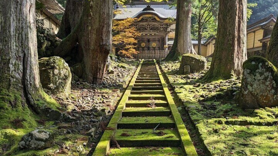 Full Day Tour Eiheiji Buddhist Temple and Fukui City Castle Town