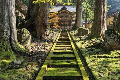 Full Day Tour Eiheiji Buddhist Temple and Fukui City Castle Town