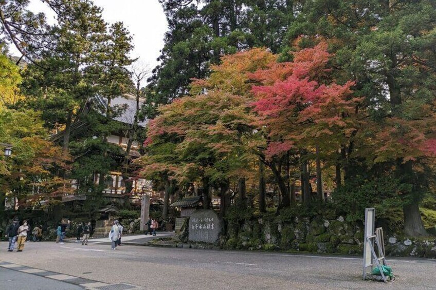 Full Day Tour Eiheiji Buddhist Temple and Fukui City Castle Town