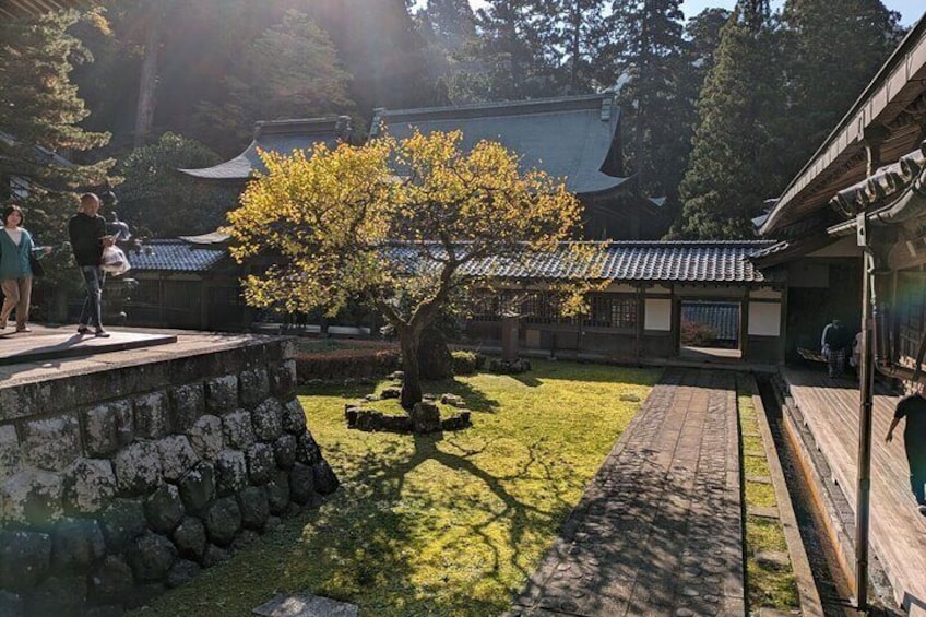 Full Day Tour Eiheiji Buddhist Temple and Fukui City Castle Town