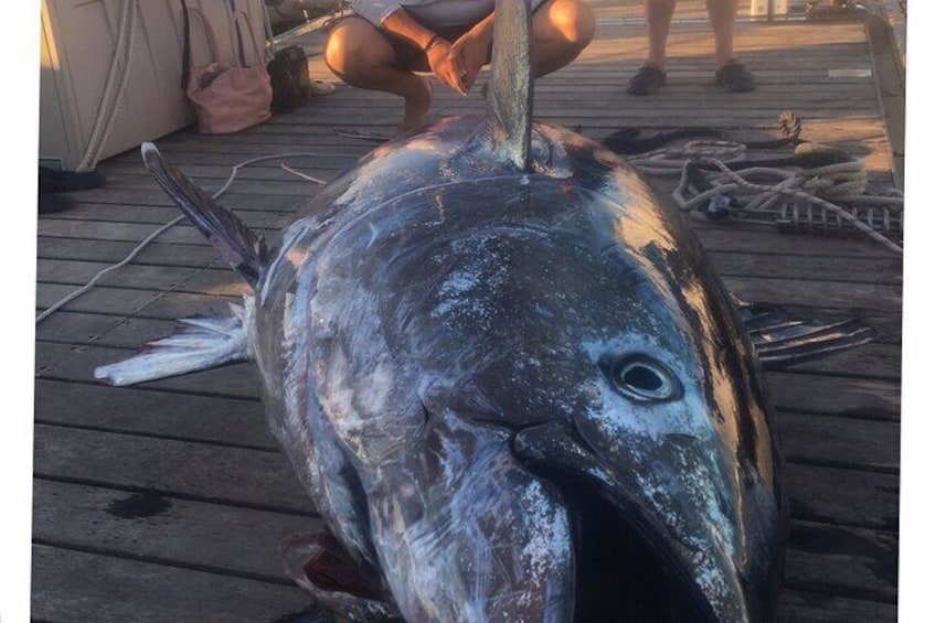 Fishing Experience in Torrevieja