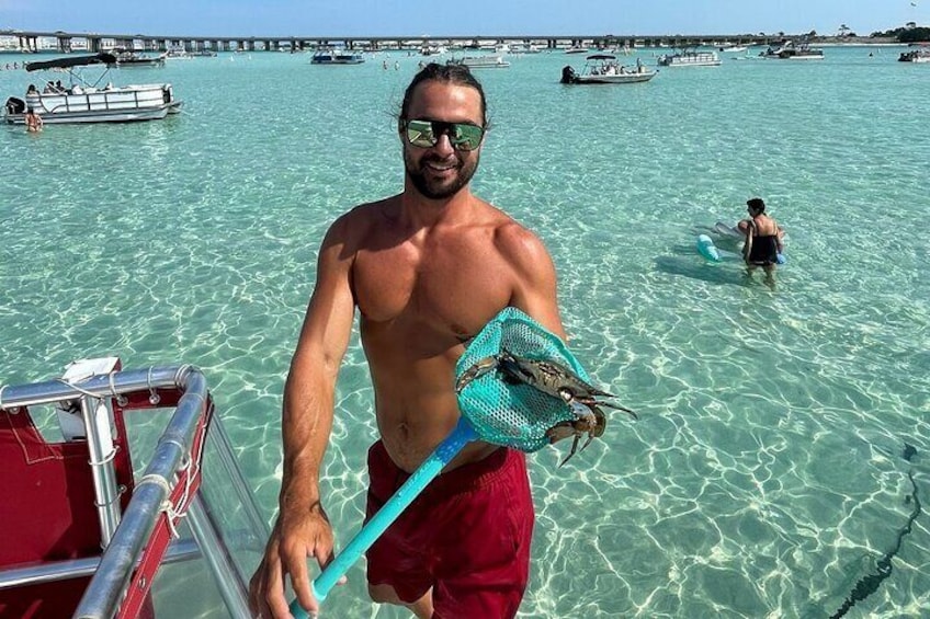 SunVenture Captain in the water catching crabs