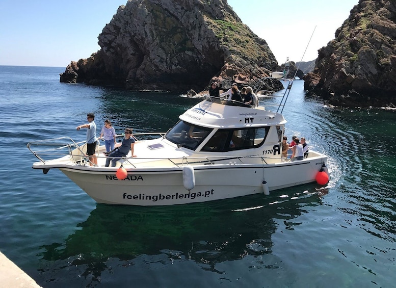 Picture 5 for Activity Peniche: Berlengas Island Trip, Hiking and Cave Tour