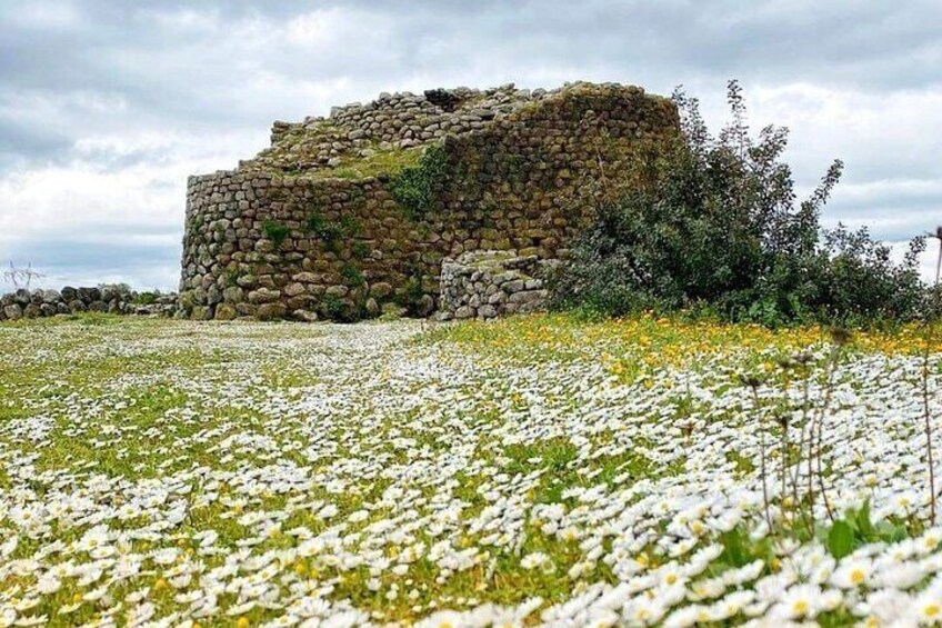 Tour of the Well of Santa Cristina and Nuraghe Losa Entrance fees included