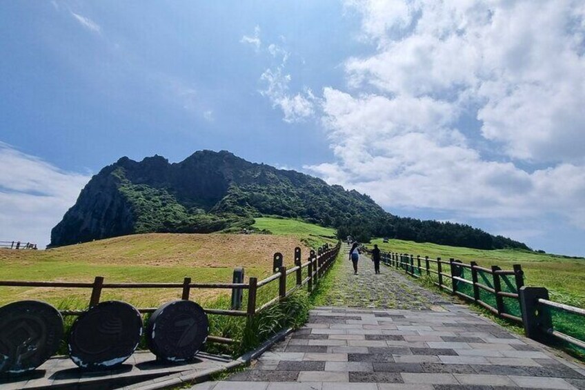 Eastern Jeju Highlights Day Trip