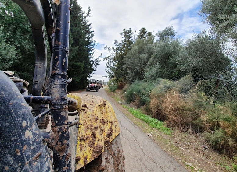 Picture 2 for Activity Paphos: Seaside and off Road Buggy Safari