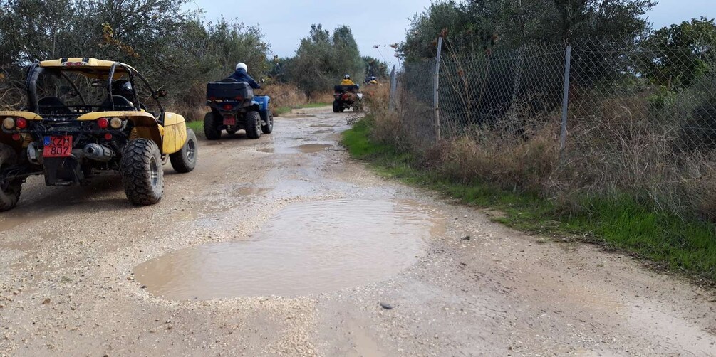 Picture 1 for Activity Paphos: Seaside and off Road Buggy Safari