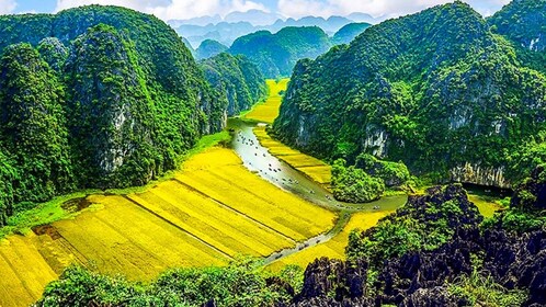 Au départ de Hanoi : excursion d'une journée à Tam Coc, Hoa Lu et aux grott...