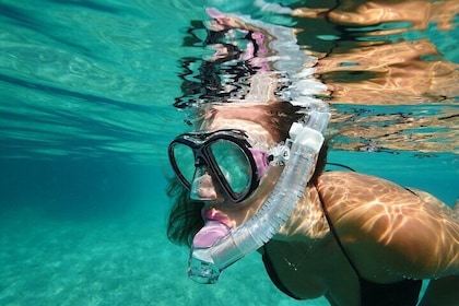 Guided snorkelling in Barcelona, Levante Beach