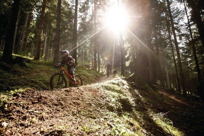 Two hours guided downhill biking at Bikepark Innsbruck 