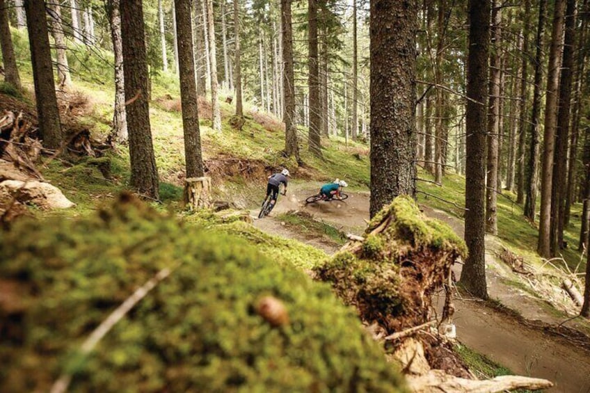 Two hours guided downhill biking at Bikepark Innsbruck 