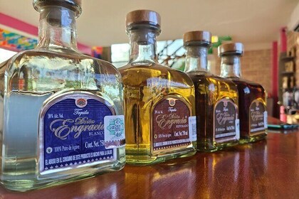 Mahahual Private Tequila Tasting