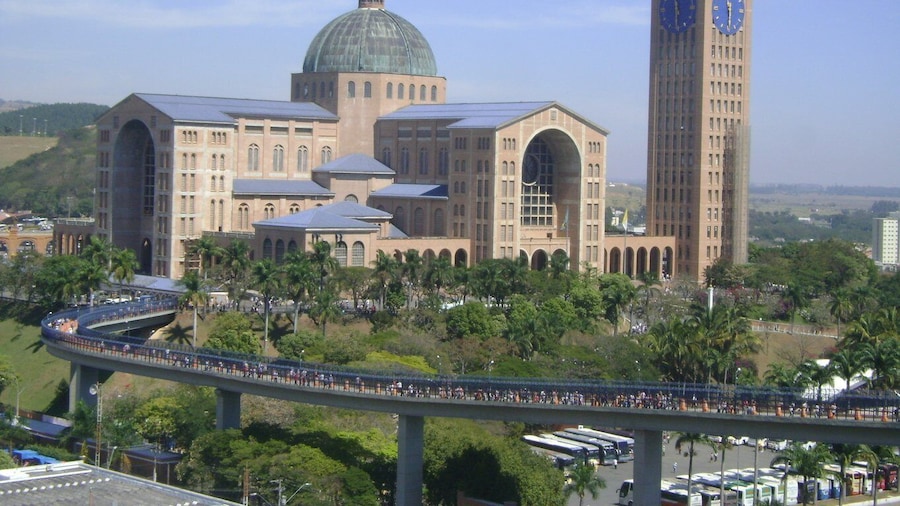 From São Paulo: Aparecida Cathedral Tour