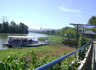 Desde São Paulo: tour a la catedral de Aparecida