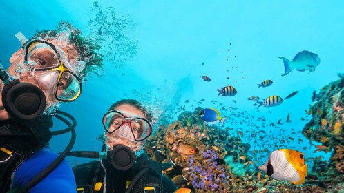 Belek: buceo en el mar Mediterráneo