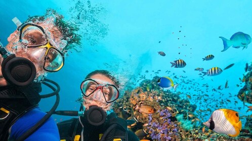 Belek: Buceo en el Mediterráneo