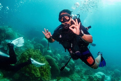 Ko Tao : Essayez la plongée sous-marine pendant une journée