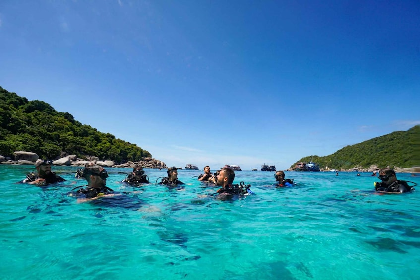 Picture 6 for Activity Ko Tao: Try Scuba Diving 1-Day Experience