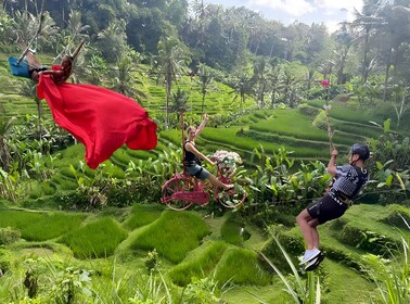 Ubud Zipline Swing SkyBike in Bali Rice Terrace Private Tour