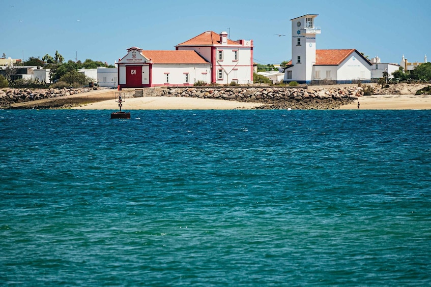 Picture 10 for Activity Faro: Deserta Island and Farol Island Catamaran Boat Trip