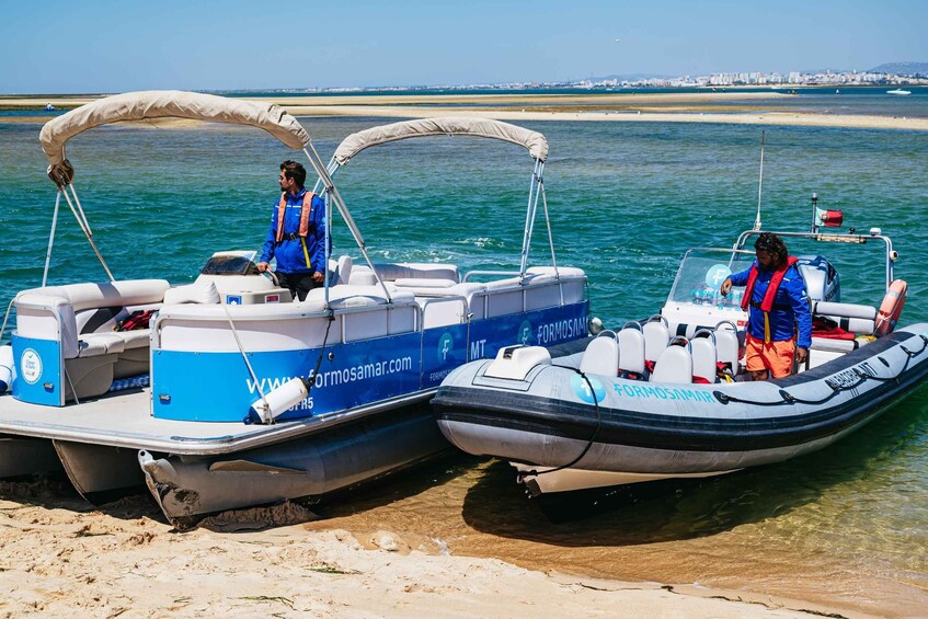 Picture 9 for Activity Faro: Deserta Island and Farol Island Catamaran Boat Trip