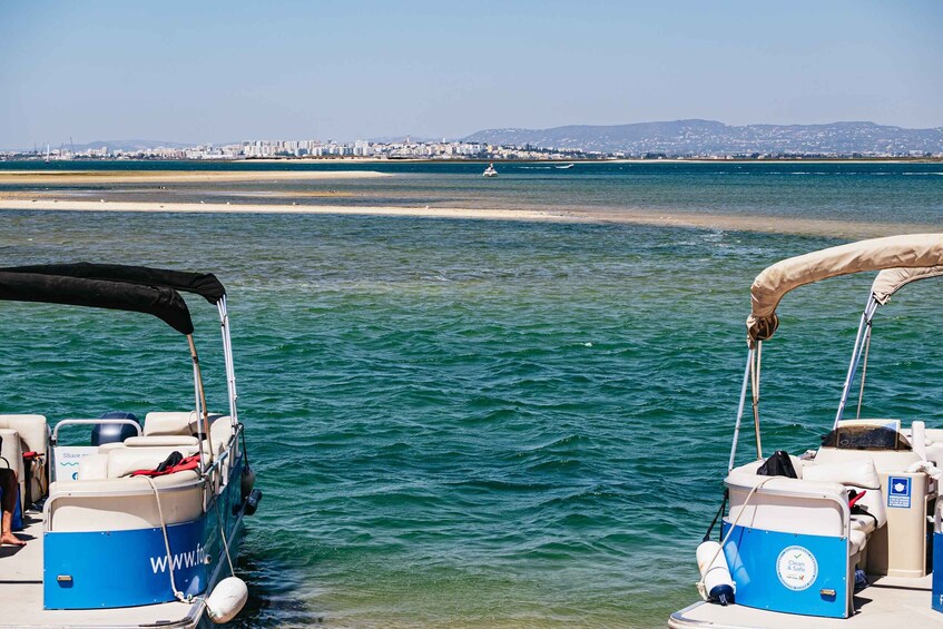 Picture 4 for Activity Faro: Deserta Island and Farol Island Catamaran Boat Trip