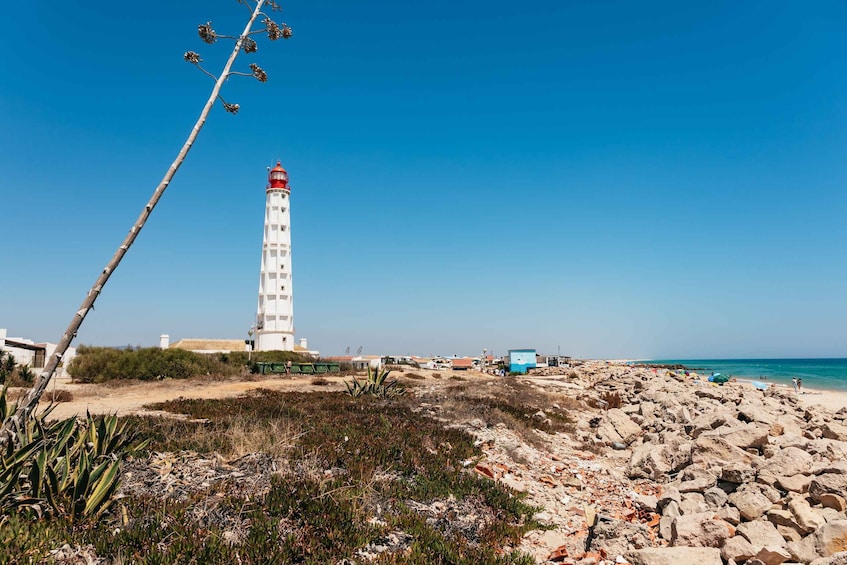Picture 14 for Activity Faro: Deserta Island and Farol Island Catamaran Boat Trip