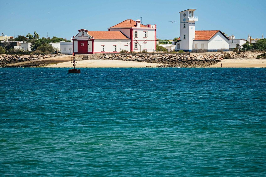 Picture 10 for Activity Faro: Deserta Island and Farol Island Catamaran Boat Trip