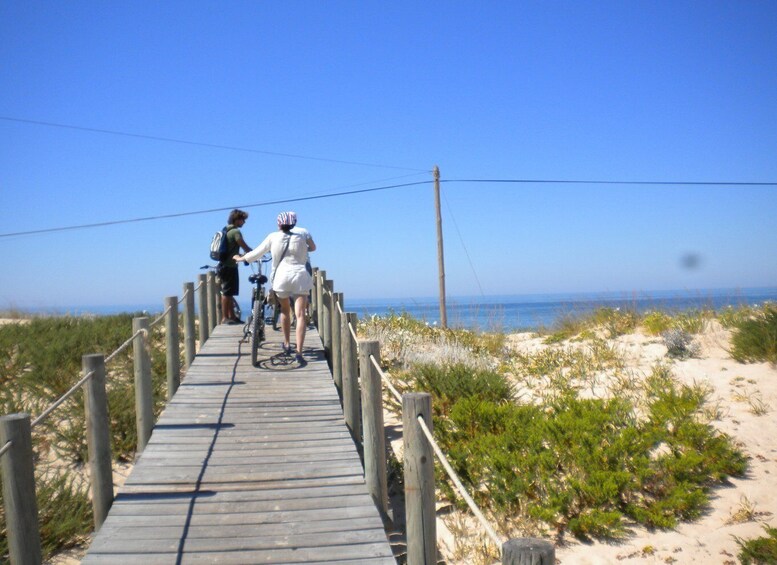 Faro Bike Tour through the Beautiful Ria Formosa