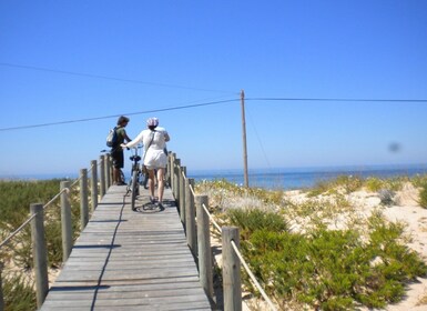 Faro Bike Tour ผ่าน Ria Formosa ที่สวยงาม