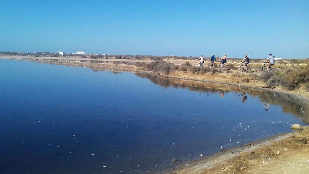 Picture 5 for Activity Faro Bike Tour through the Beautiful Ria Formosa